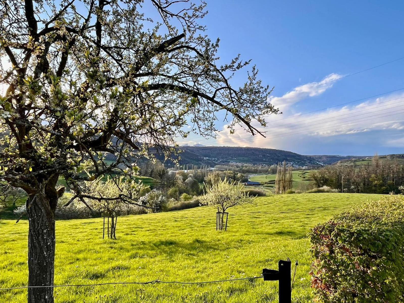B&B Roudenhaff Echternach Esterno foto
